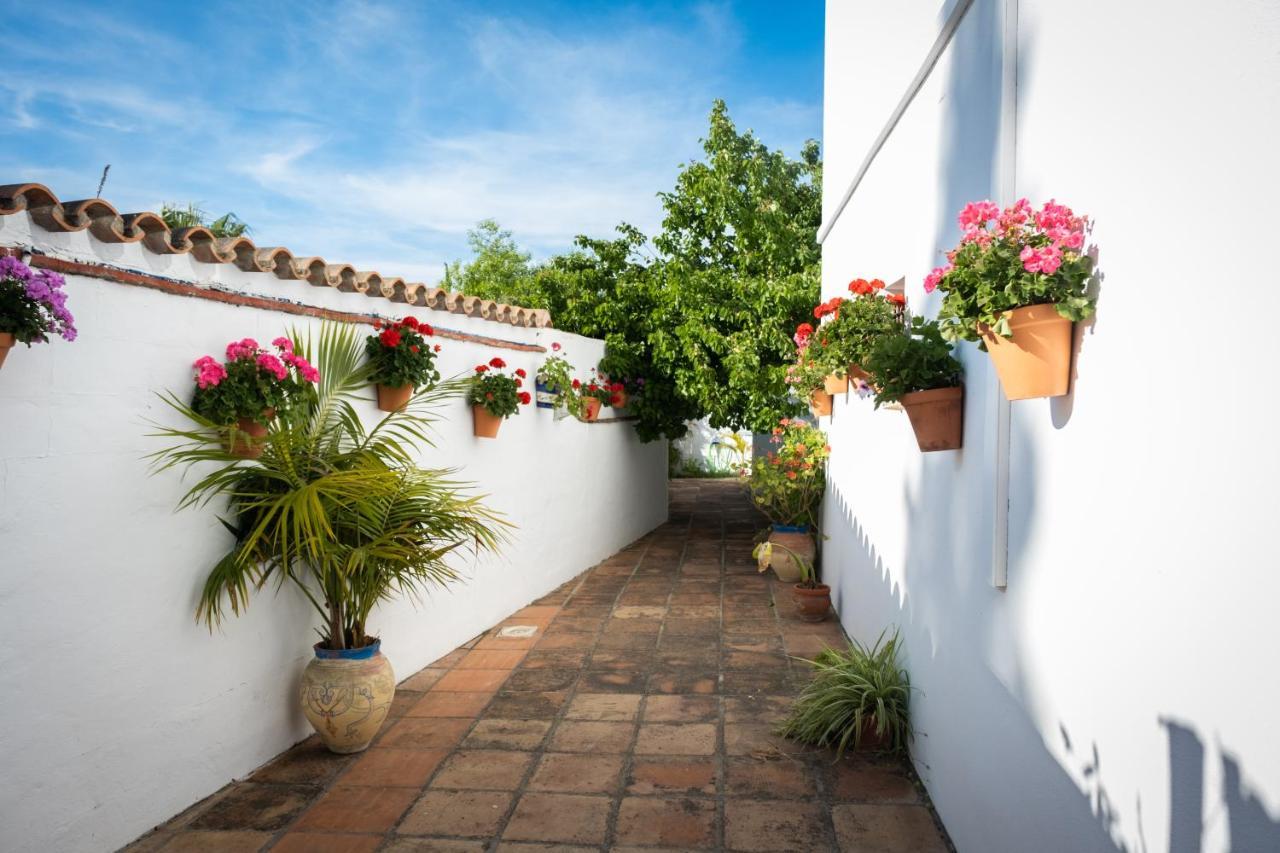 Hostal Cabo Roche Conil De La Frontera Ngoại thất bức ảnh