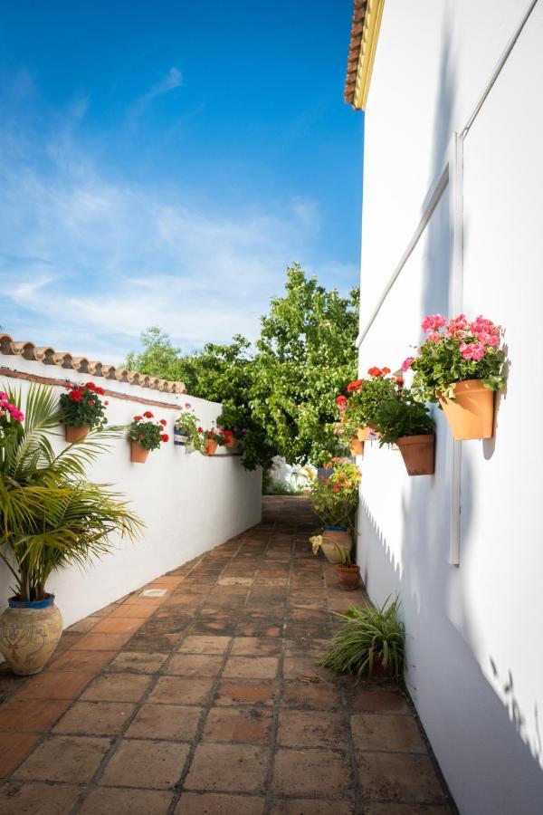 Hostal Cabo Roche Conil De La Frontera Ngoại thất bức ảnh