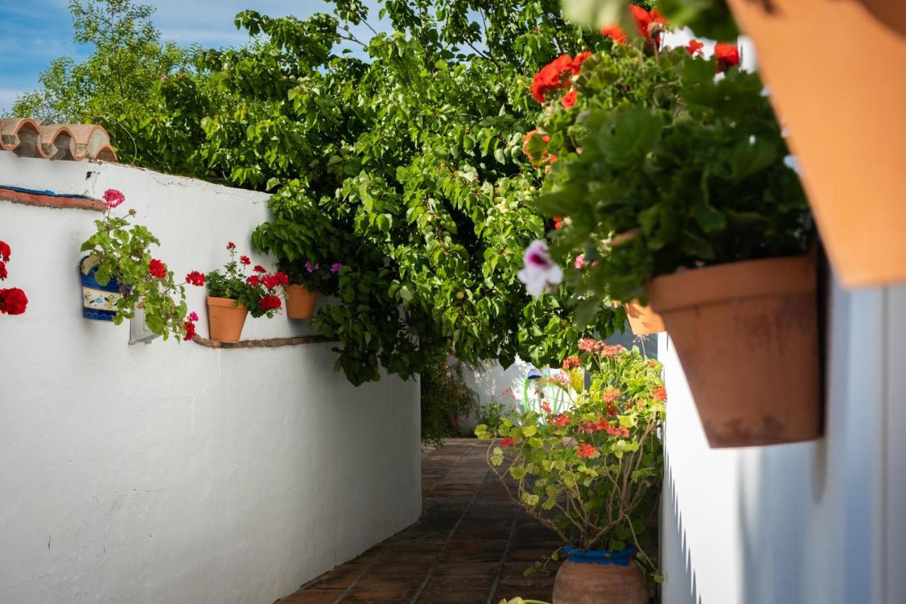 Hostal Cabo Roche Conil De La Frontera Ngoại thất bức ảnh